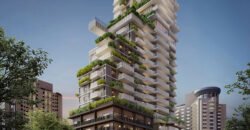 Vogel Moema – Studio