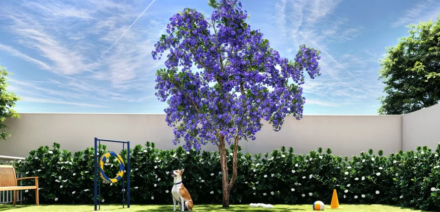 Oli Ipiranga – 1 Dormitórios