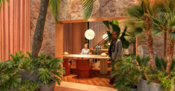 Housi Bela Cintra – Studio Housi Bela Cintra – Studio