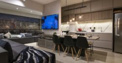 Vita Ipiranga – Studio