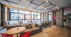 Is Consolação – Studio