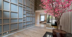 IS Liberdade – Studio