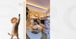 Brk By – Studio