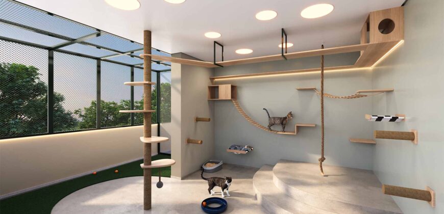 Brk By – Studio