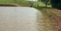 Fazendinha em Araçu