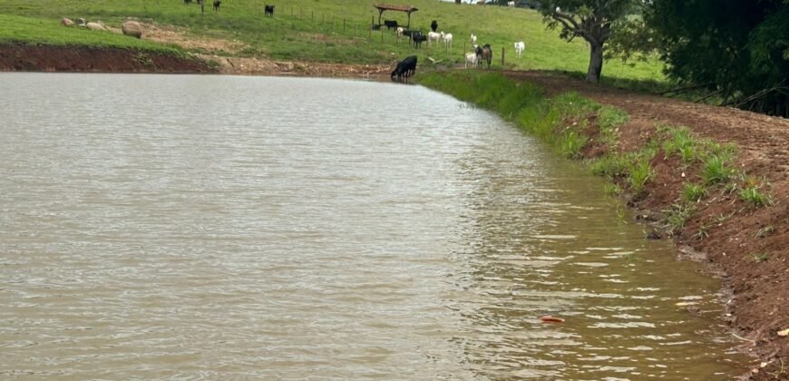 Fazendinha em Araçu