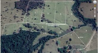 Fazendinha em Araçu