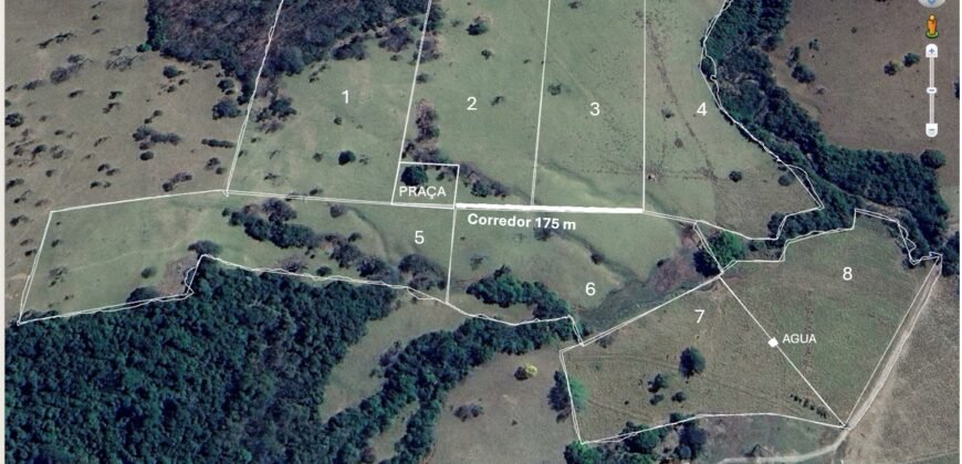 Fazendinha em Araçu