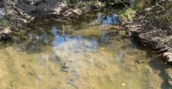 Fazendinha em Araçu