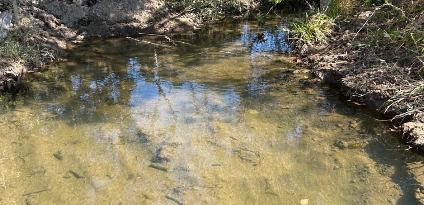 Fazendinha em Araçu