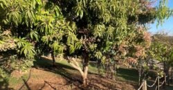 Chácara familiar em Goiânia