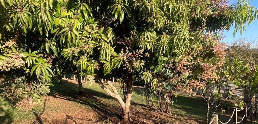 Chácara familiar em Goiânia