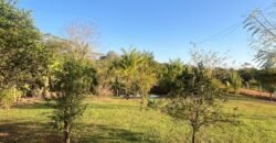 Chácara familiar em Goiânia