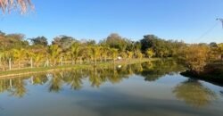 Chácara familiar em Goiânia