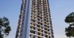 VERY PEDROZO – Studio