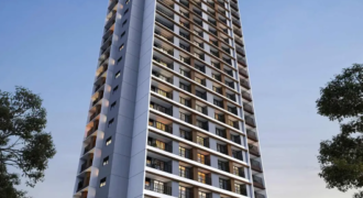 VERY PEDROZO – Studio