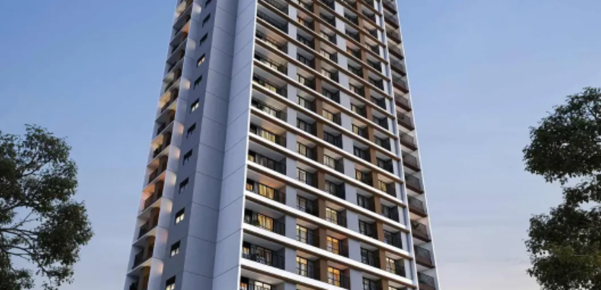 VERY PEDROZO – Studio