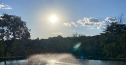 Terrinha de Hidrolandia