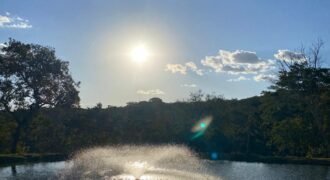 Terrinha de Hidrolandia