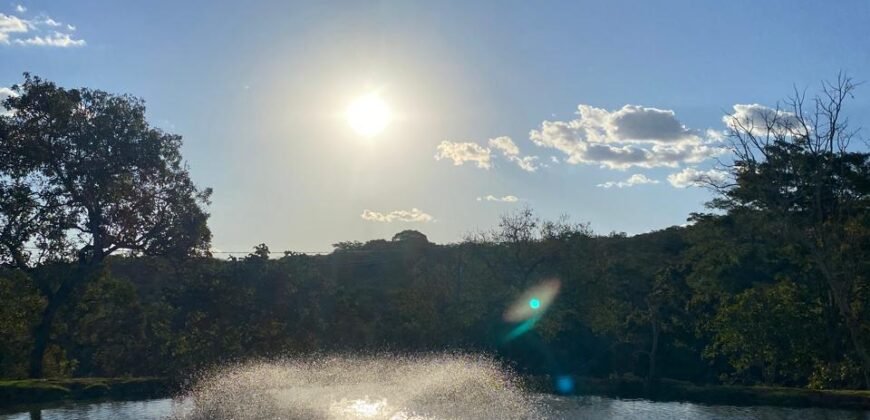 Terrinha de Hidrolandia