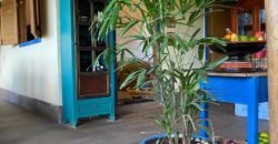 Terrinha de Hidrolandia