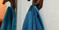 Terrinha de Hidrolandia