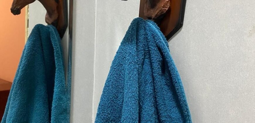 Terrinha de Hidrolandia