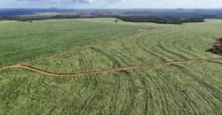 Fazenda Barigajau