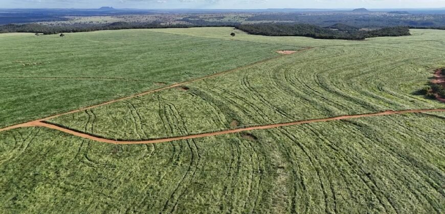 Fazenda Barigajau