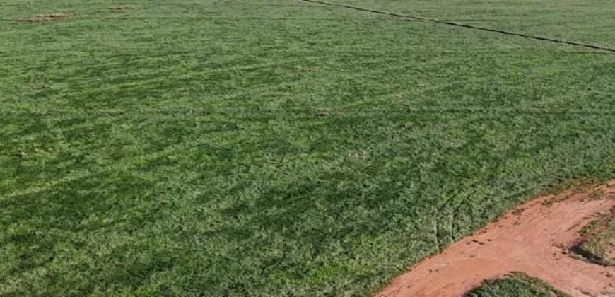 Fazenda Barigajau