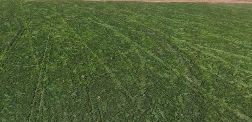 Fazenda Barigajau